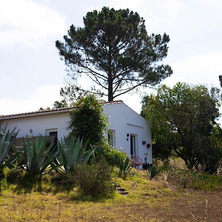 Monte Da Urze Aljezur - Agroturismo Exteriér fotografie