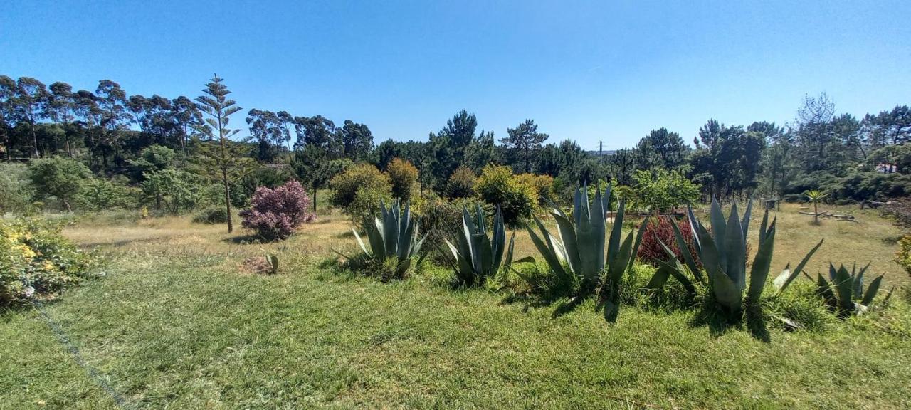 Monte Da Urze Aljezur - Agroturismo Exteriér fotografie