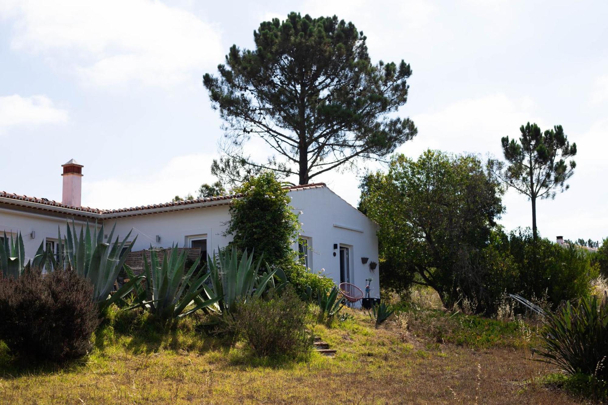 Monte Da Urze Aljezur - Agroturismo Exteriér fotografie